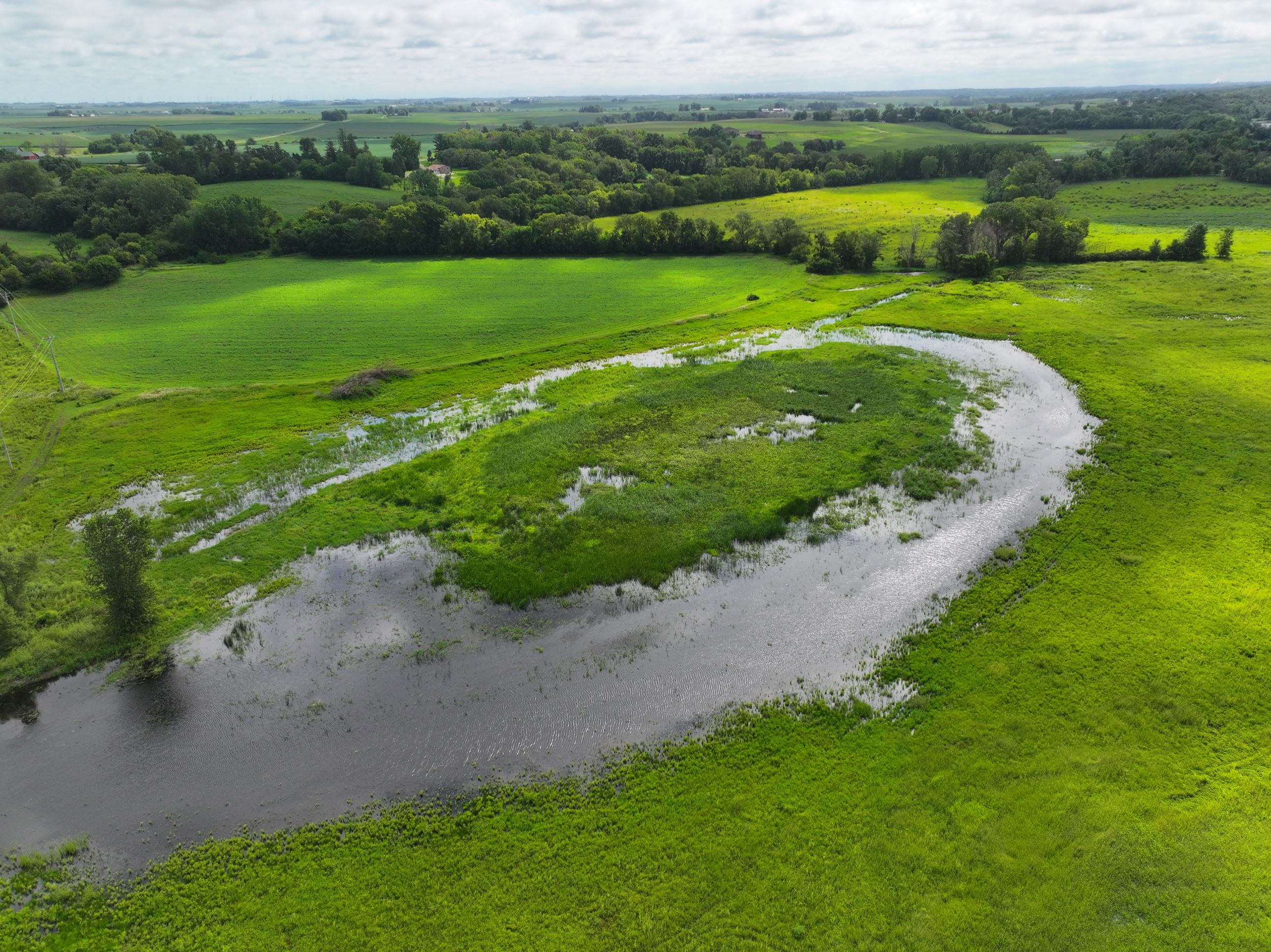 Aerial view of Mann Wetlands