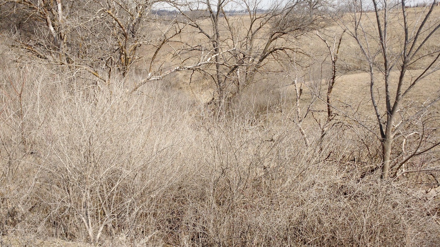 Before: Marion County property