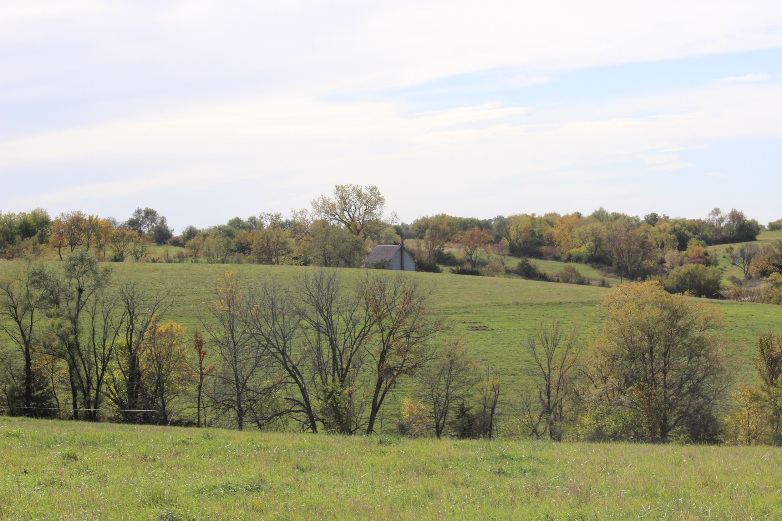View of the rolling hills on the farm, with old schoolhouse in the background.