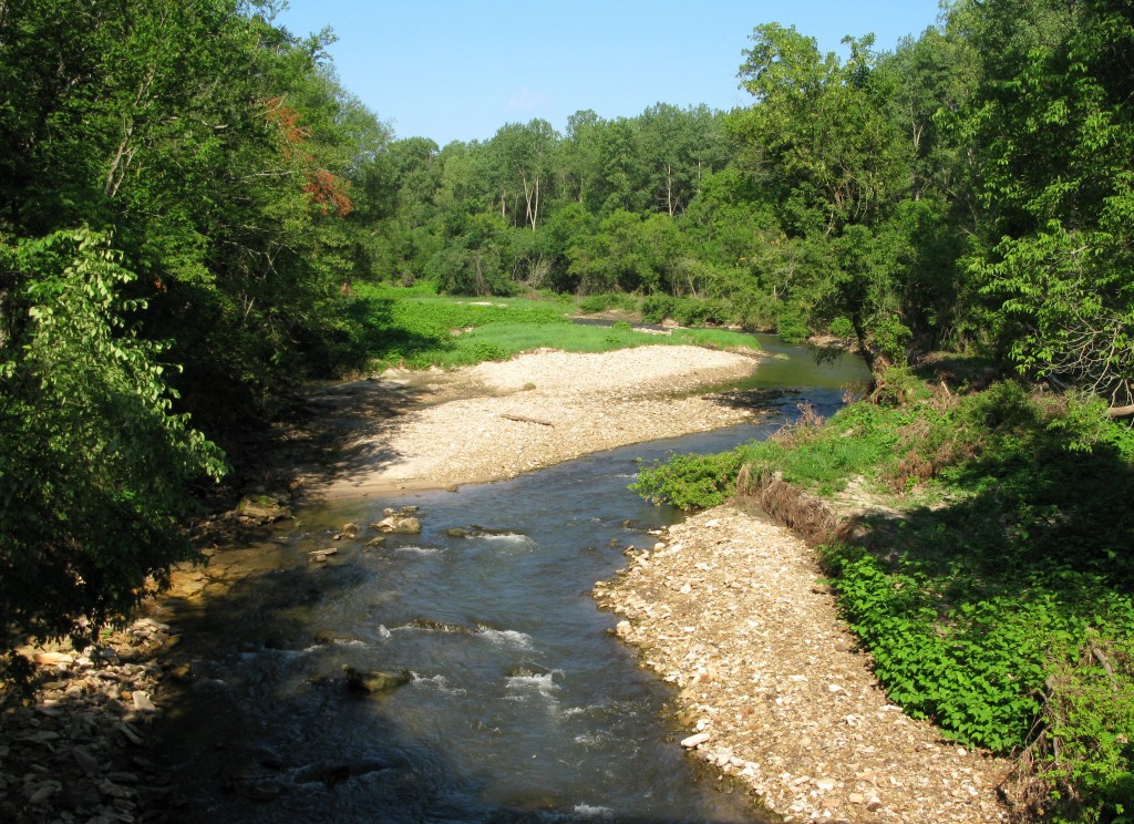 nelsonpaintcreek