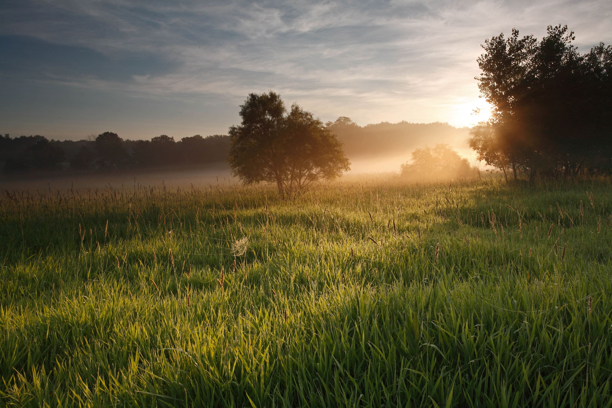 REAP In Your Region: Wickiup Hill Natural Area, Lake Macbride State Park and more in eastern Iowa