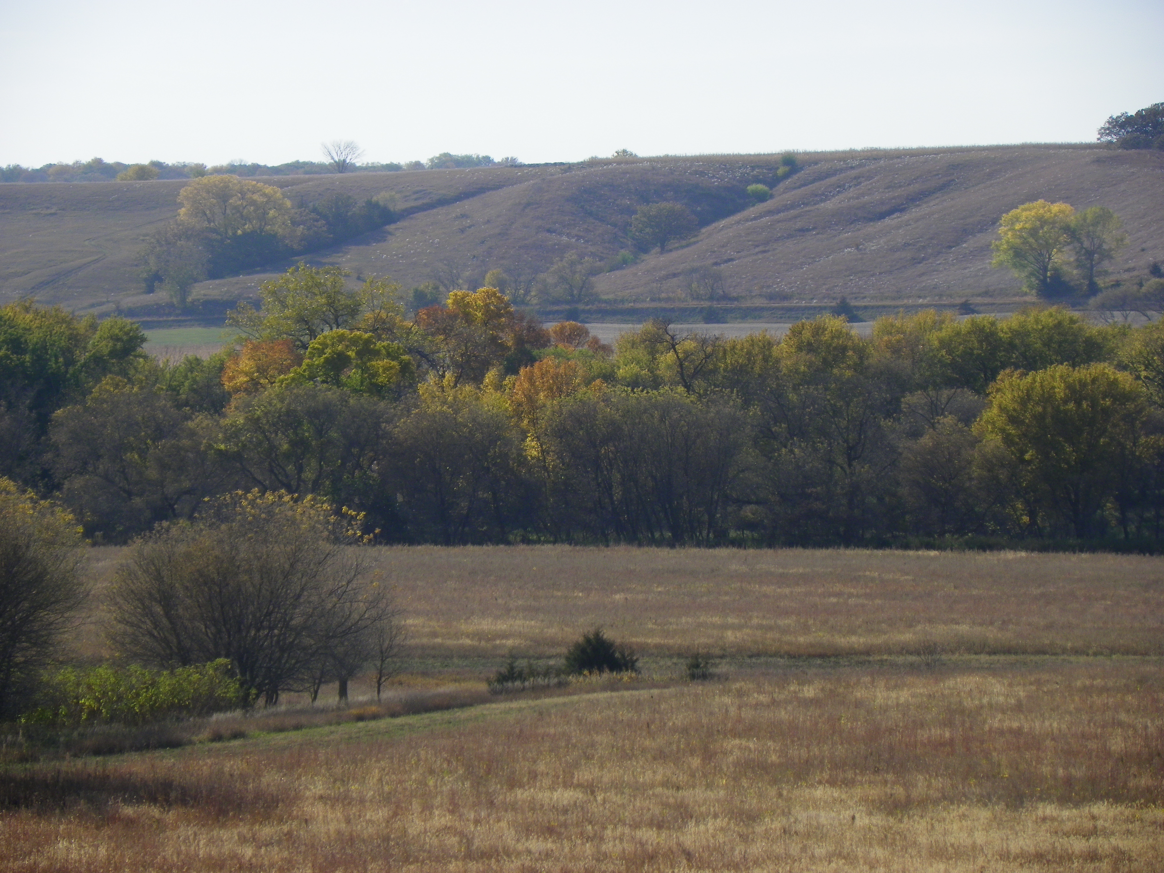 Waterman Creek complex