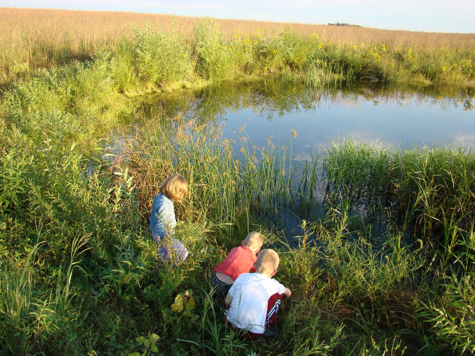 Consider how you can make a difference in an ecosystem near you by recycling some of the water you u