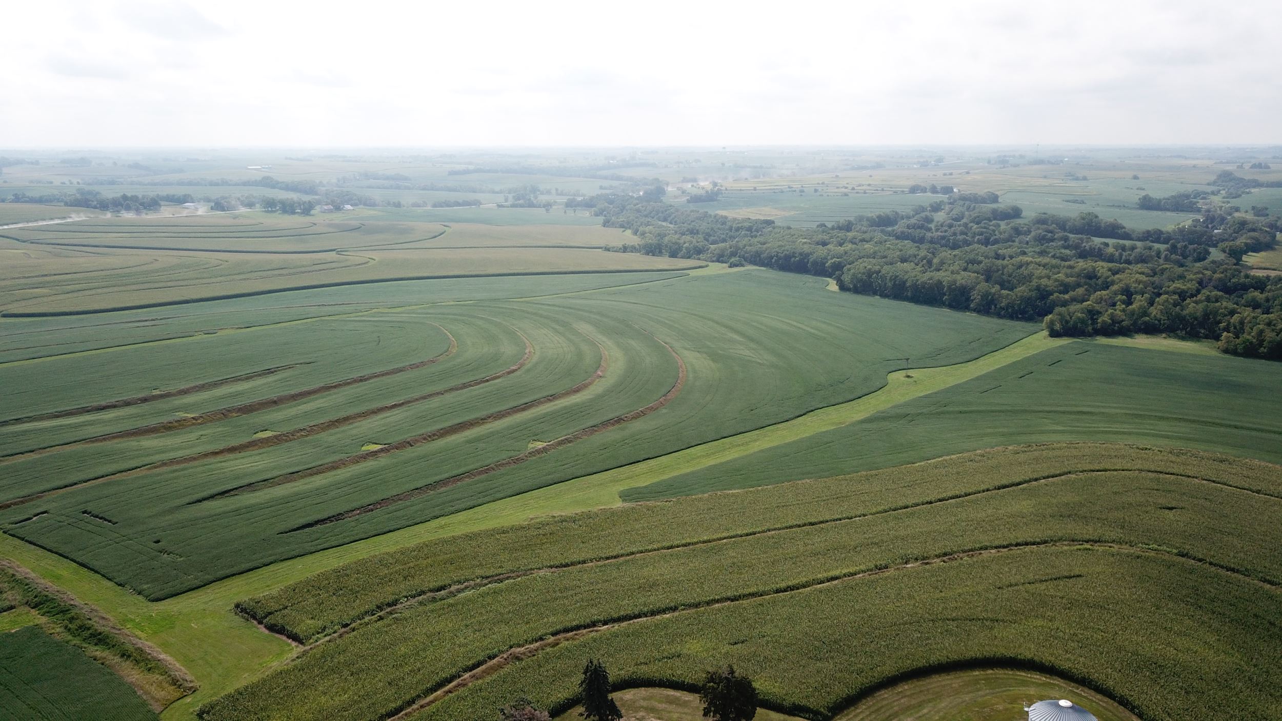 Aerial image of the Boylan Farm.