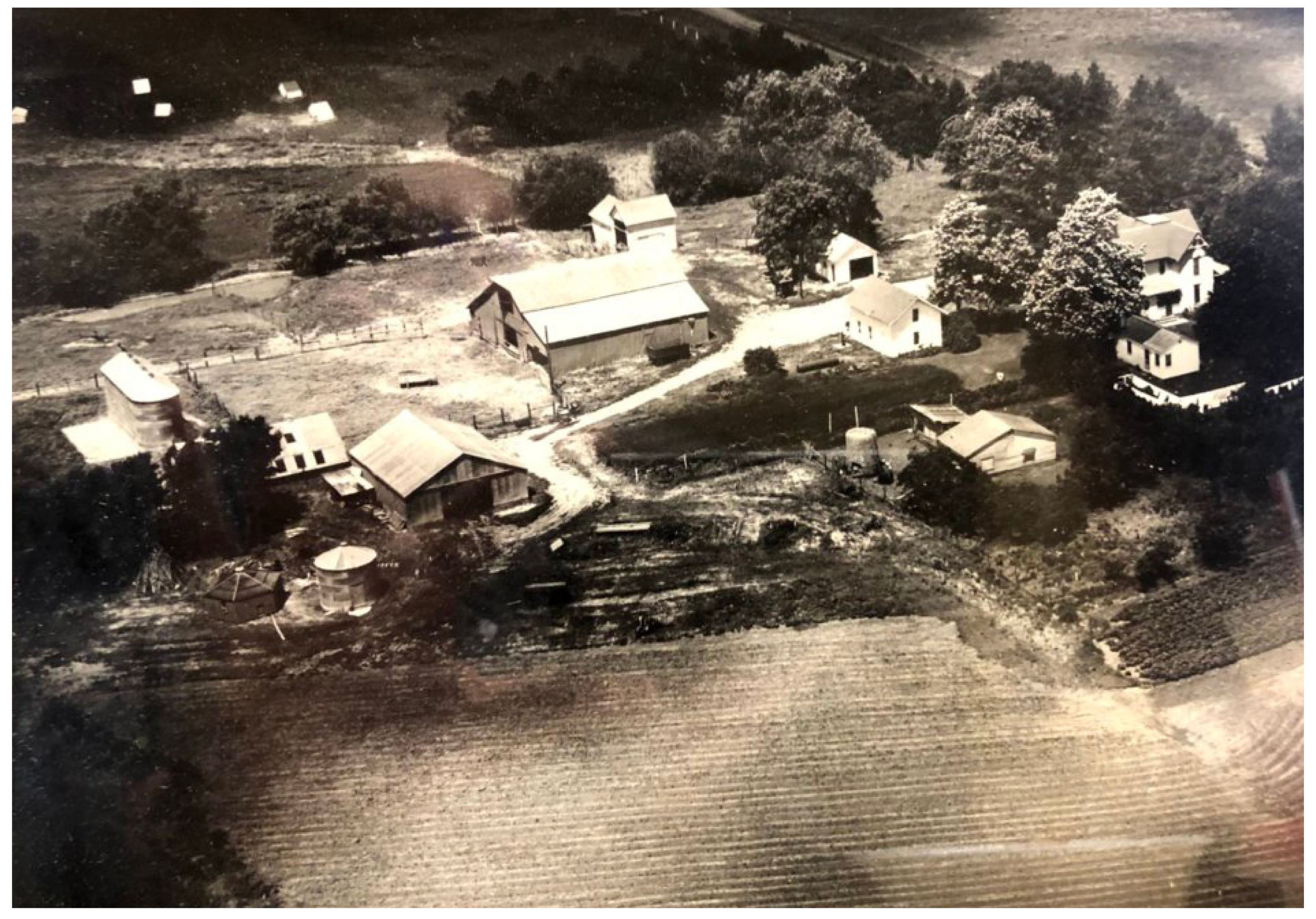 Boylan farm historic photo