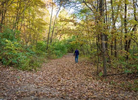 Sodalis Nature Preserve