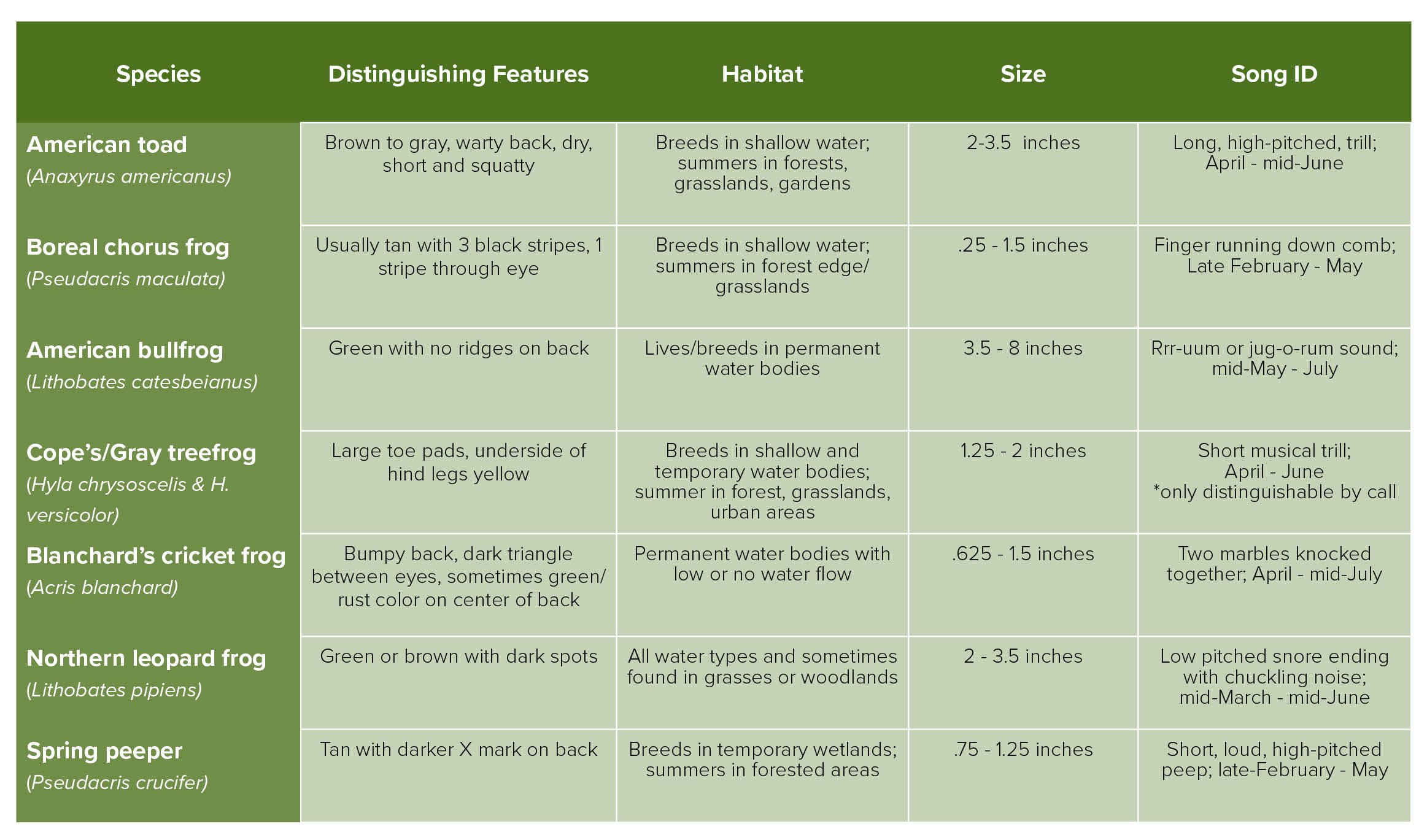 Chart showing common amphibian characteristics