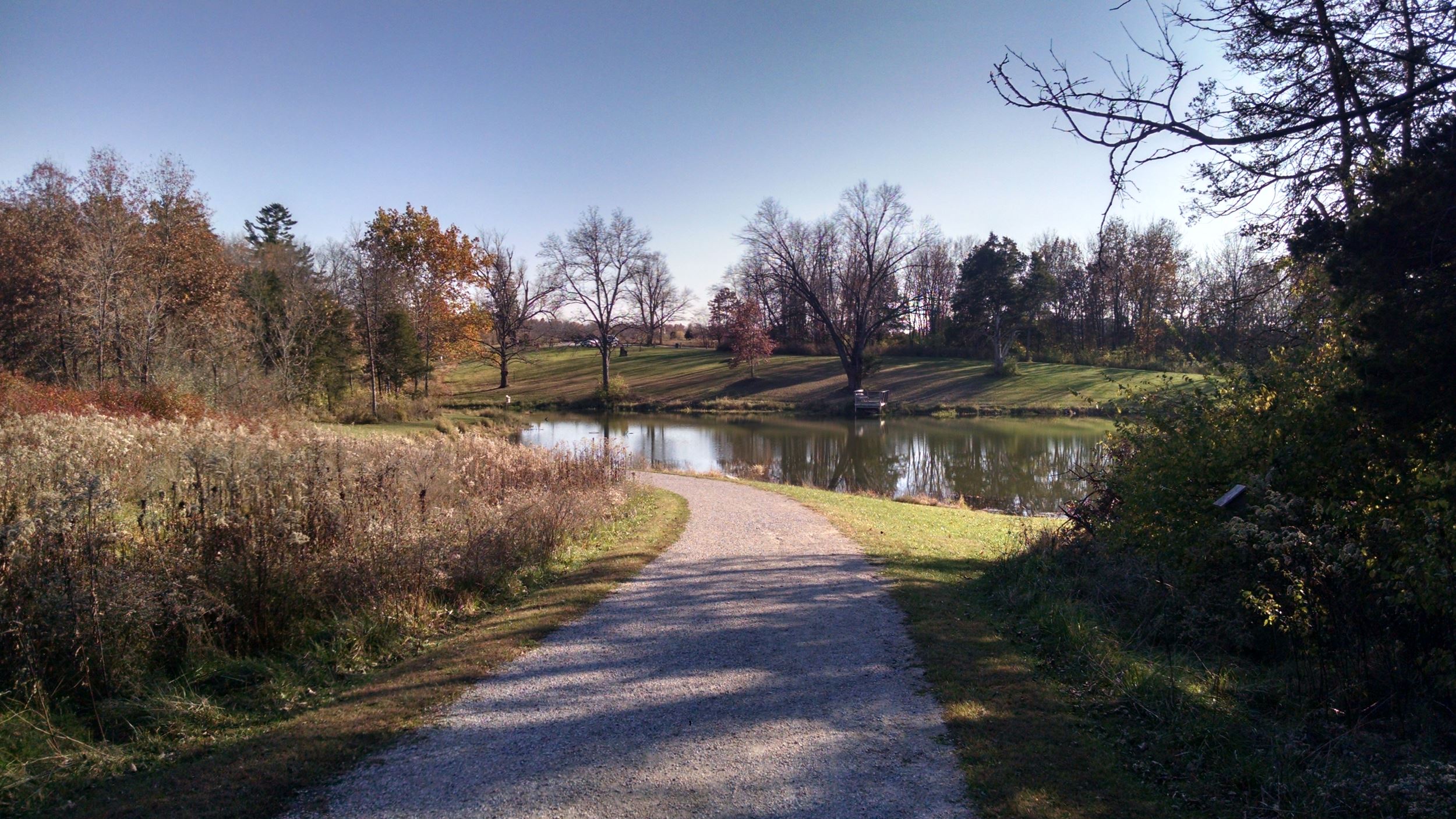 View of pond at Whitham Woods