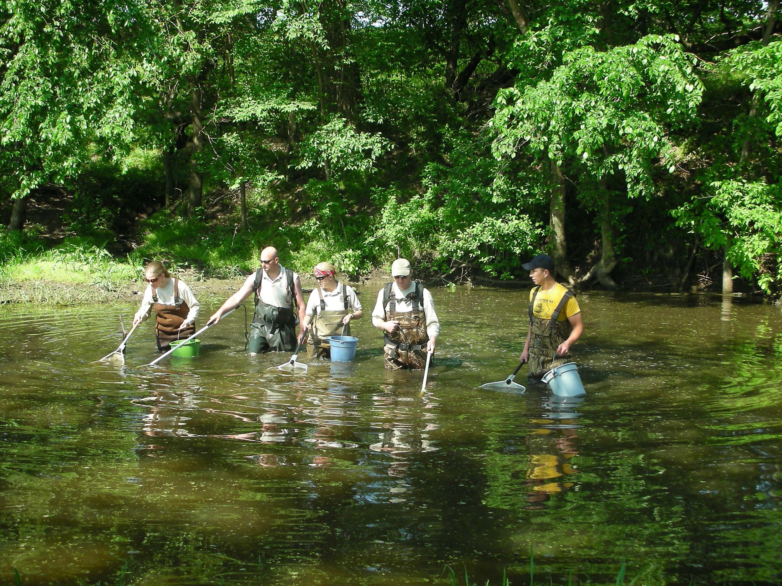 Erin Van Waus uses a net to survey fish as an INHF intern.