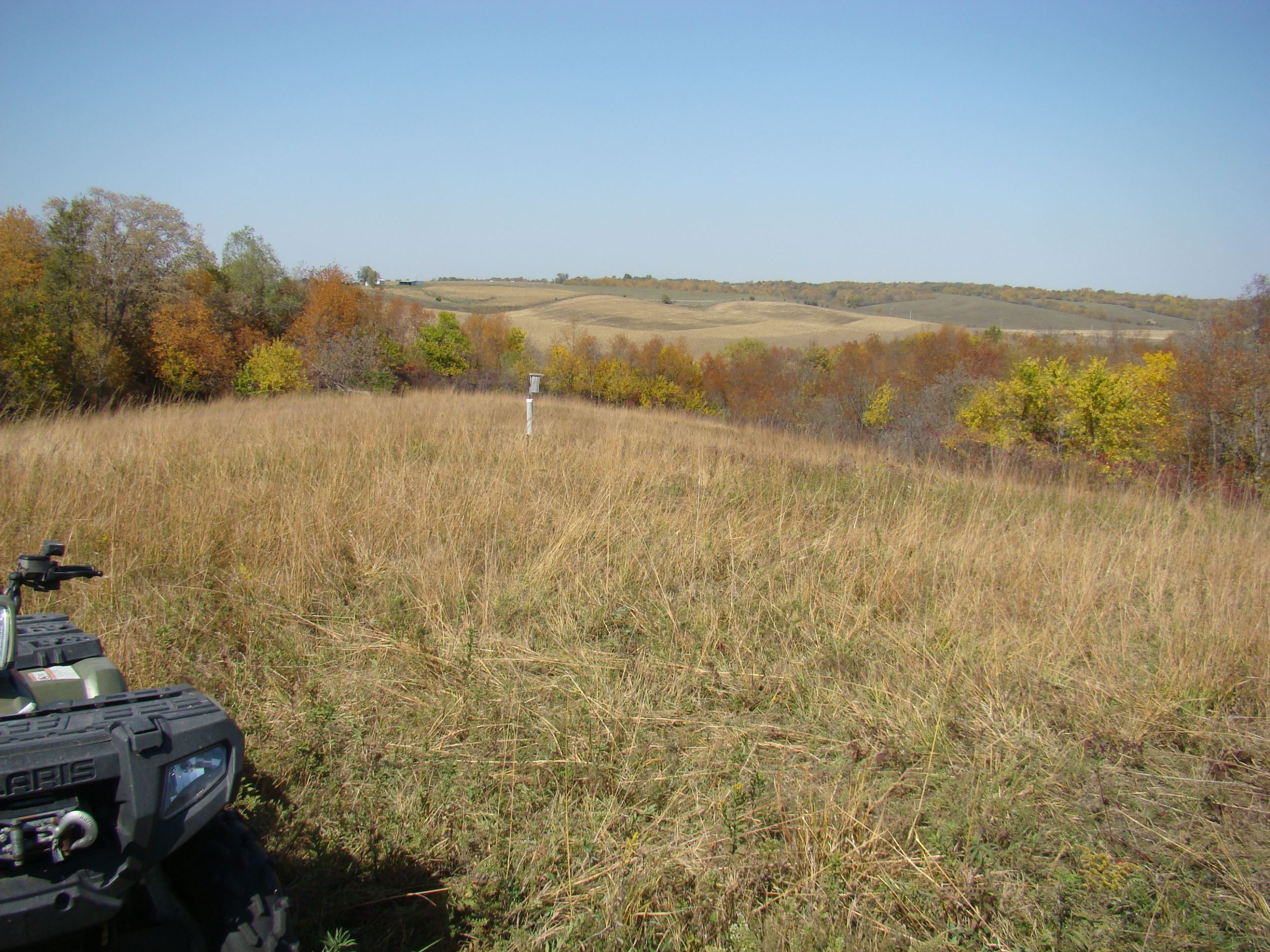 Restored grassland