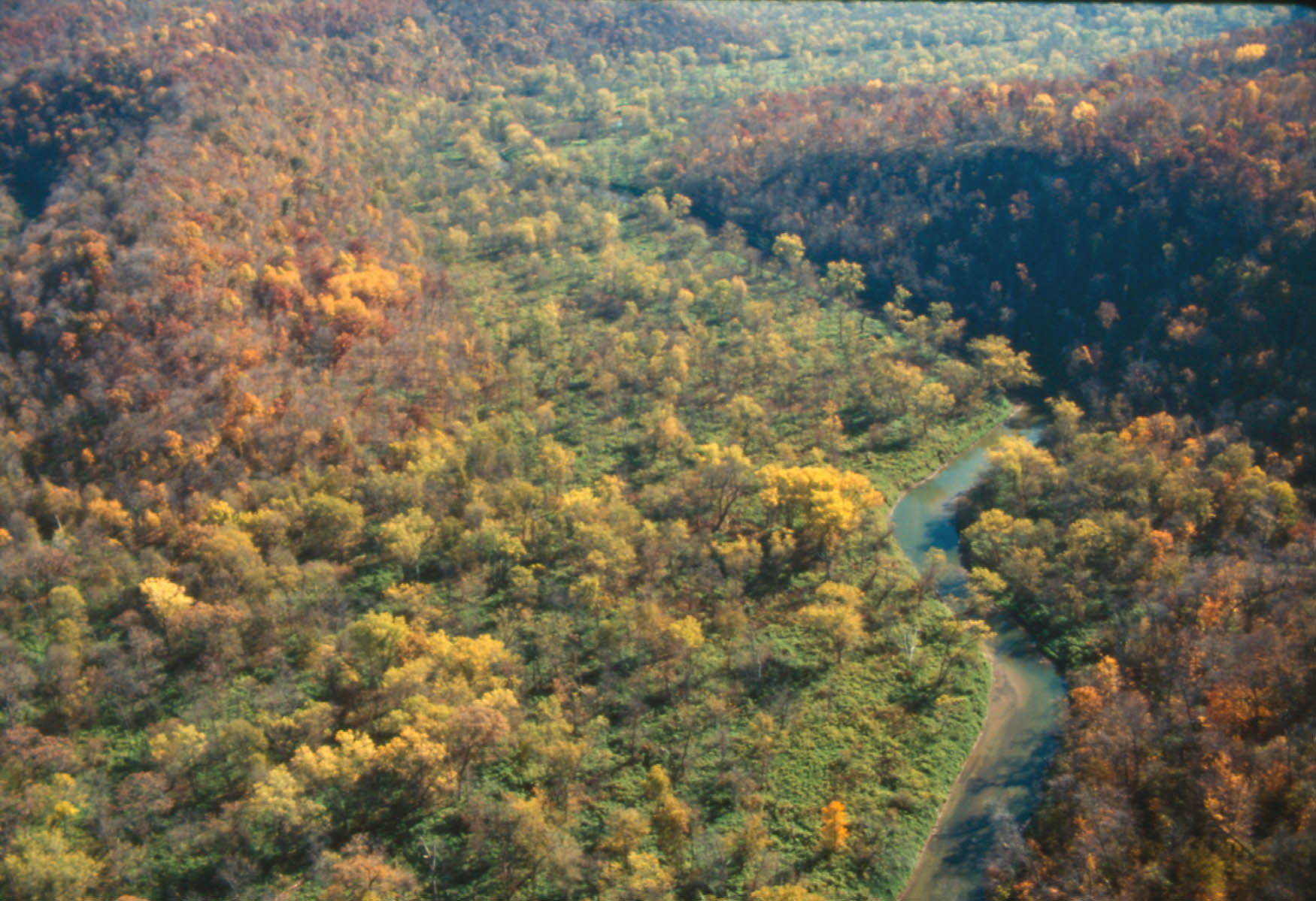 Effigy Mounds