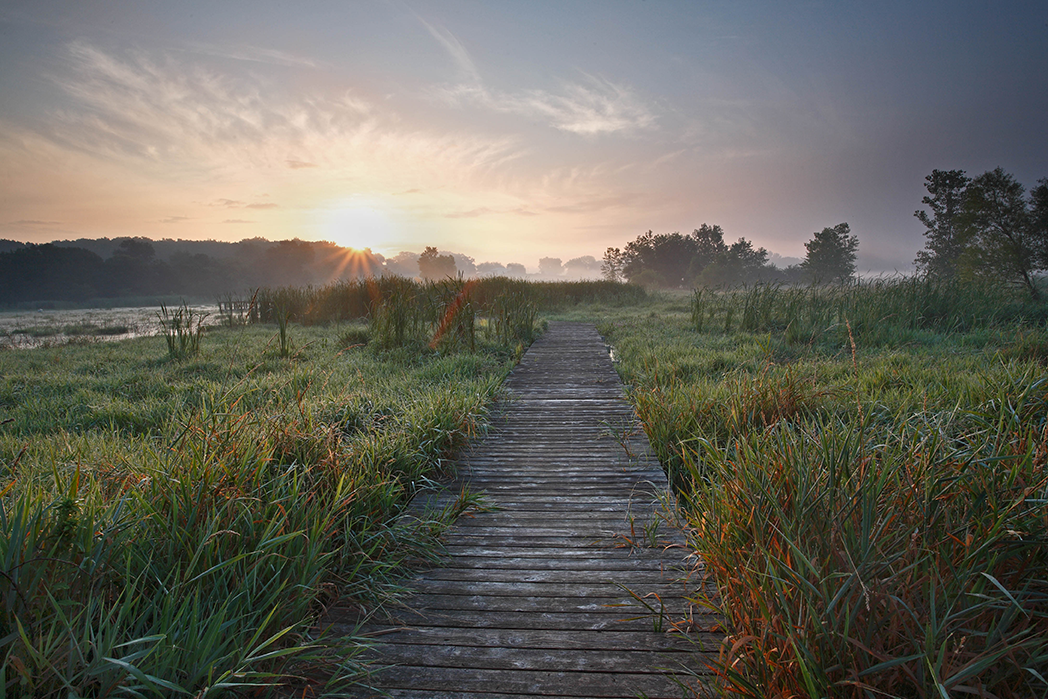 Get Outdoors: Wickiup Hill Natural Area