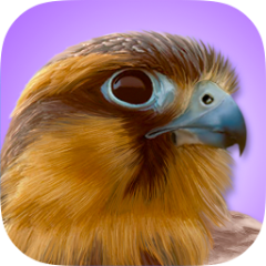 iBird Pro App