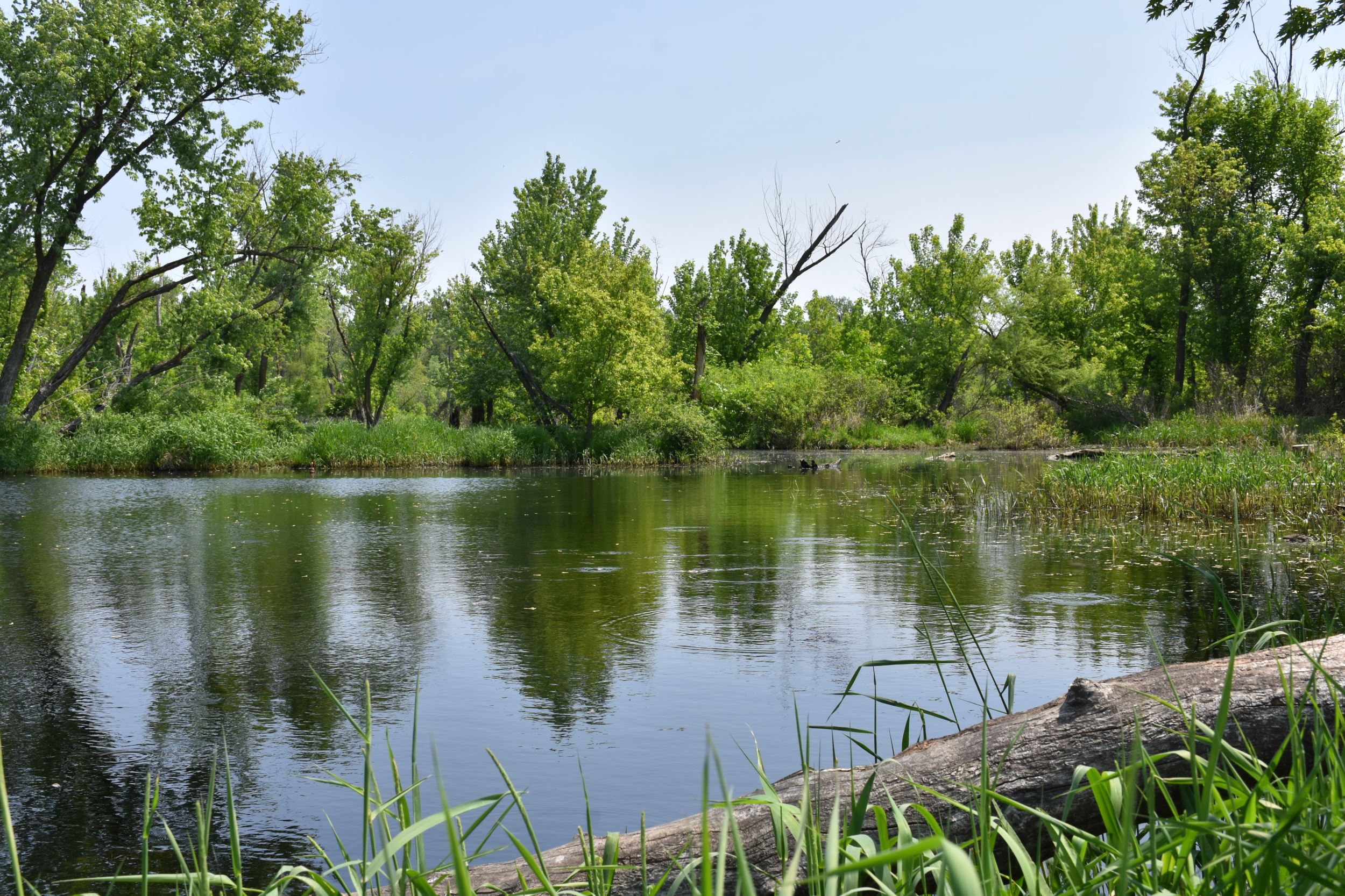 Photo of Brenton Slough