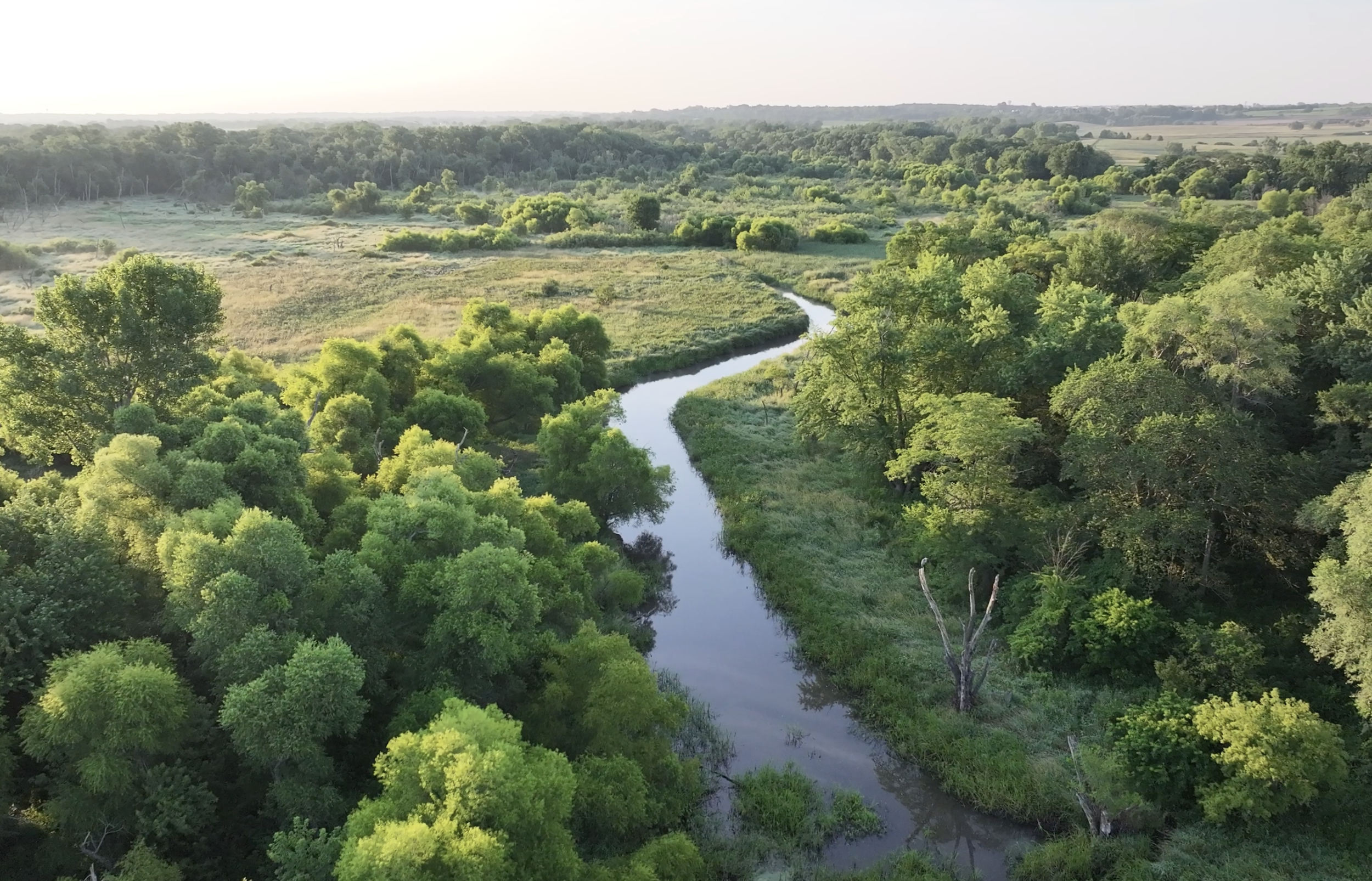 Catch a Glimpse of Brenton Slough
