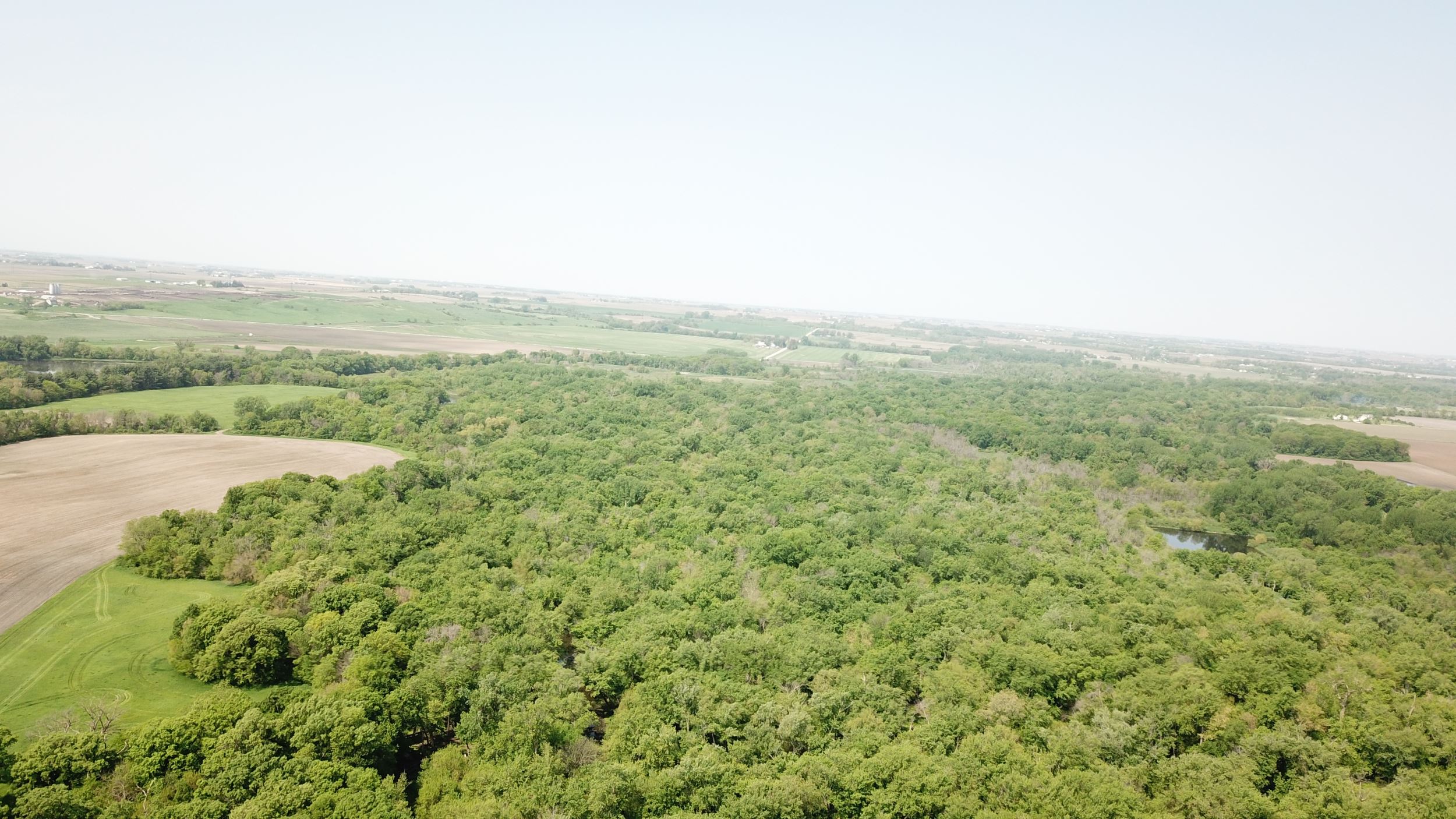 Aerial view of the Brenton Slough