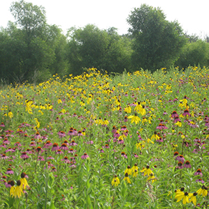 Gunderson Nature Park