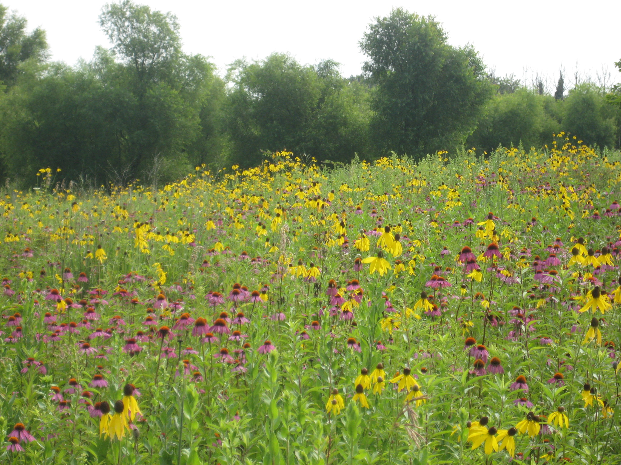 Gunderson Nature Park