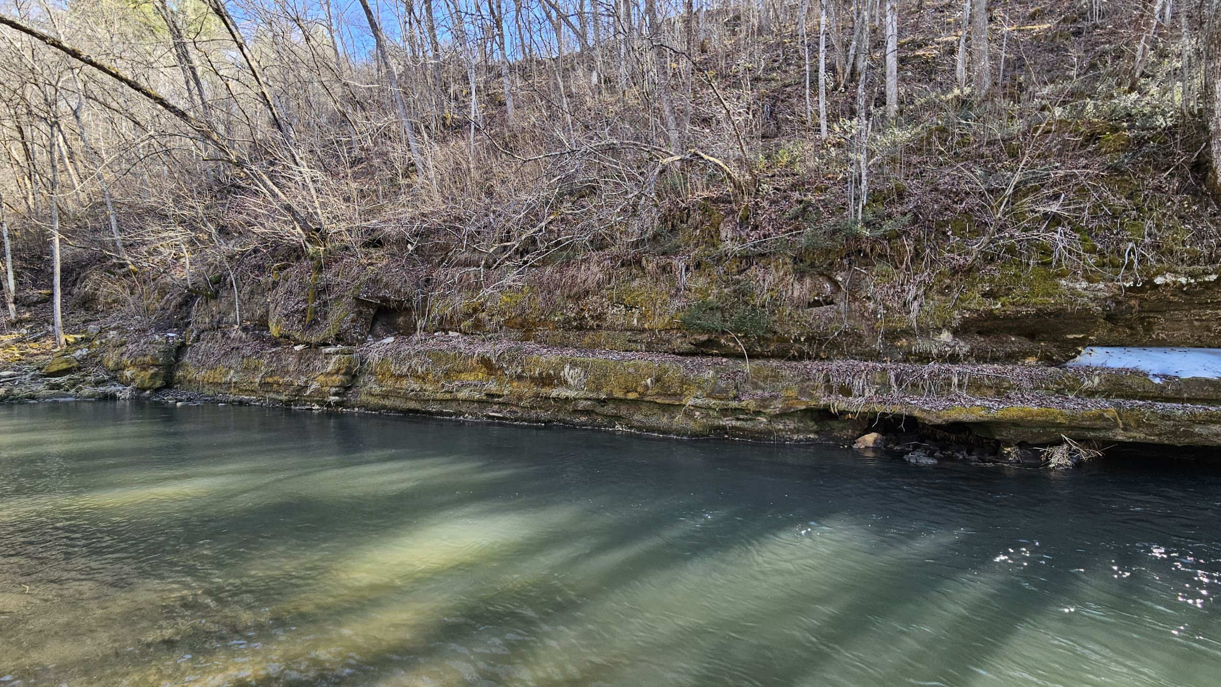 Bear Creek 