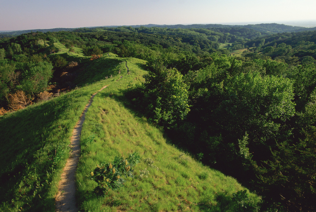 REAP In Your Region: Loess Hills State Forest, Lewis and Clark State Park and more in western Iowa