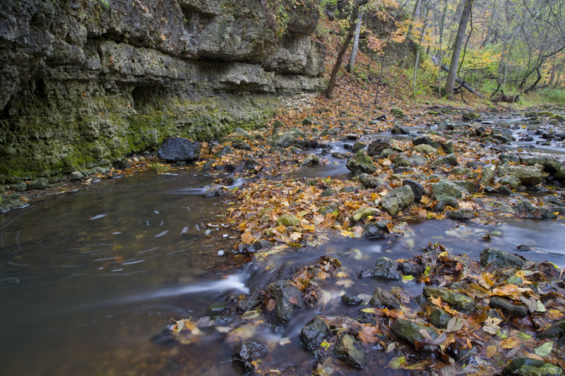 Pine Hollow Creek