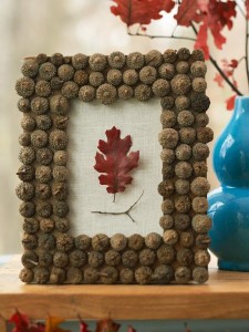 Acorn Picture Frame