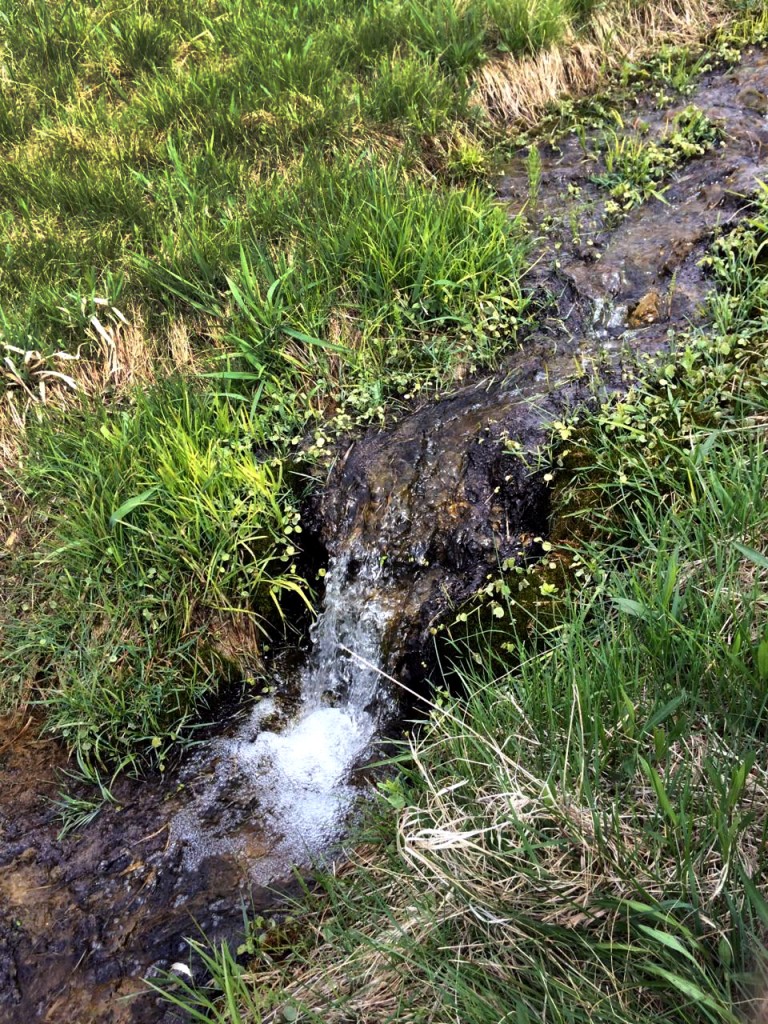 Andrea_Butler County Natural Spring