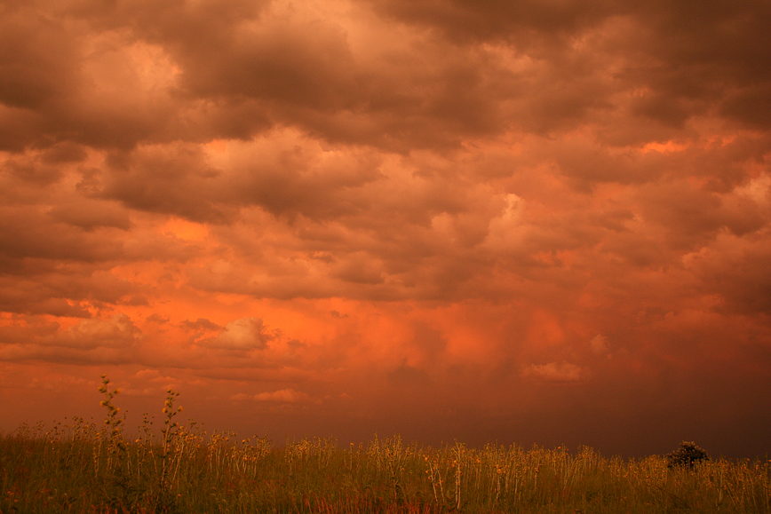 When a summer cold front pushes down from the north and meets a warm humid air mass, summer rainstorms often develop. They can be mild with moderate rain or contain high winds, hail and very heavy rain.  If the cloud cover in the west breaks before sunset, low angle light can create a spectacular scene in the eastern instead of on the western horizon.  Sunsets and sunrises are two of nature's most dramatic events that make for some unique sights.  