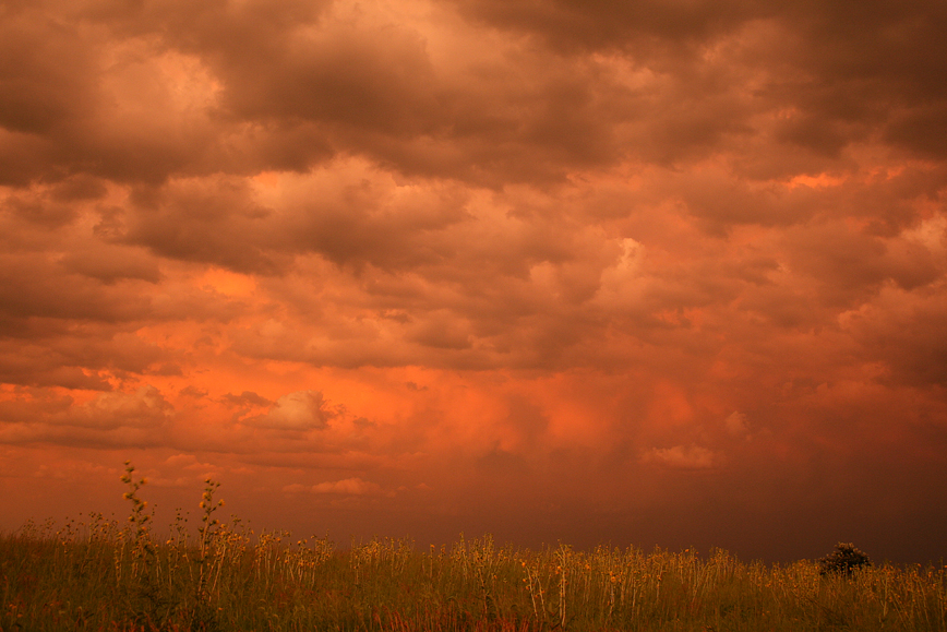 When a summer cold front pushes down from the north and meets a warm humid air mass, summer rainstorms often develop. They can be mild with moderate rain or contain high winds, hail and very heavy rain. If the cloud cover in the west breaks before sunset, low angle light can create a spectacular scene in the eastern instead of on the western horizon. Sunsets and sunrises are two of nature's most dramatic events that make for some unique sights.