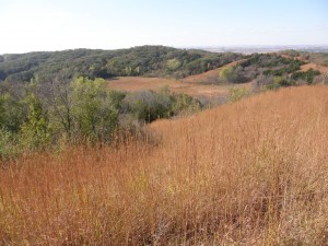 Loess Hills State Forest- Photo Courtesy of Brent Olson of Iowa DNR Loess Hills State Forest