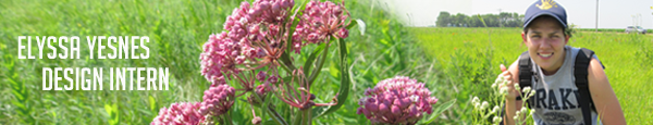 Blog_AuthorFooterEY_2012