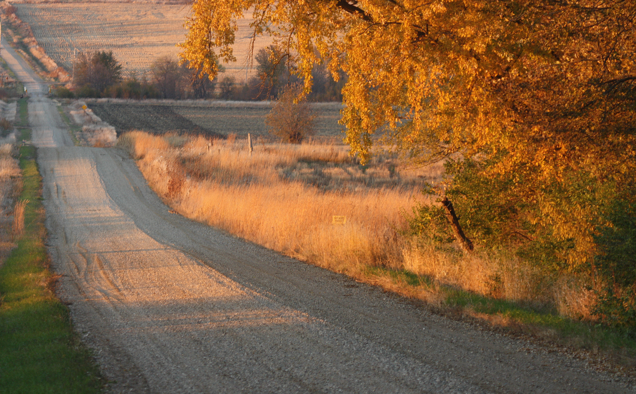 Nature Walk: Country Roads - Iowa Natural Heritage Foundation