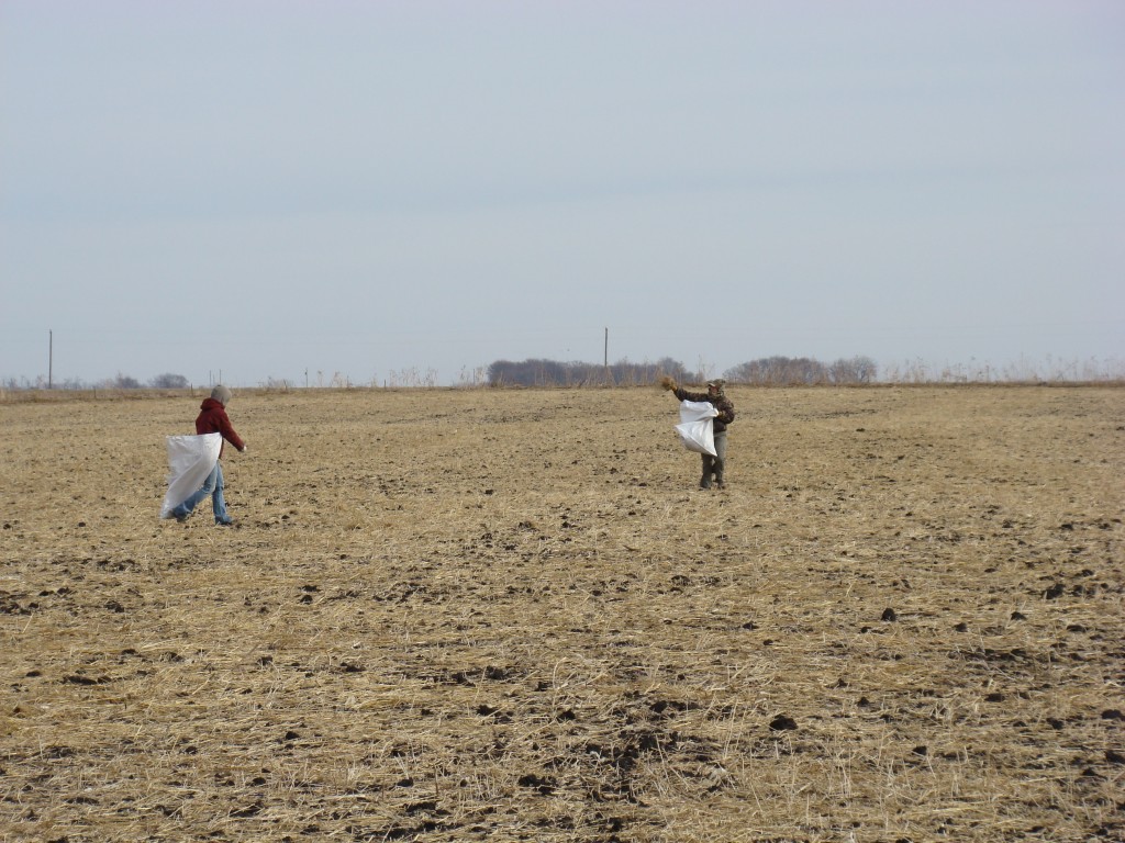 INHF staff hand scattering seed