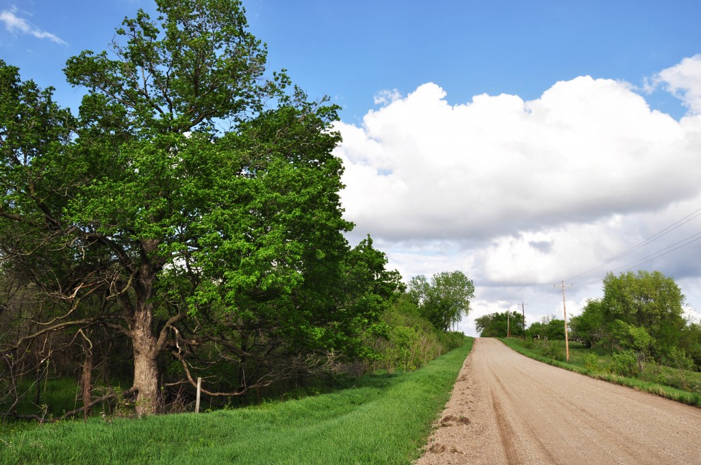 Two new nature areas for Story County