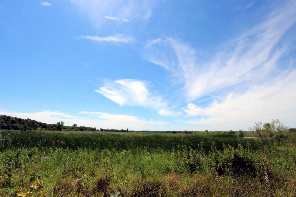 REAP In Your Region: High Trestle Trail, Gray's Lake, Chichaqua Bottoms and more in central Iowa