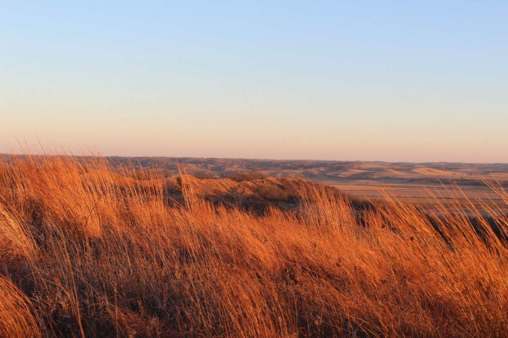 Turin Prairie lies in the heart of the Loess Hills, adjoining a state preserve, viewed from a national scenic byway.