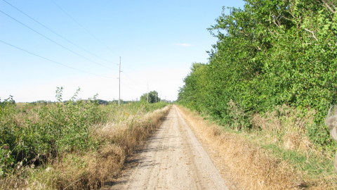 Section of the Hoover Nature Trail near Nichols in Muscatine County.