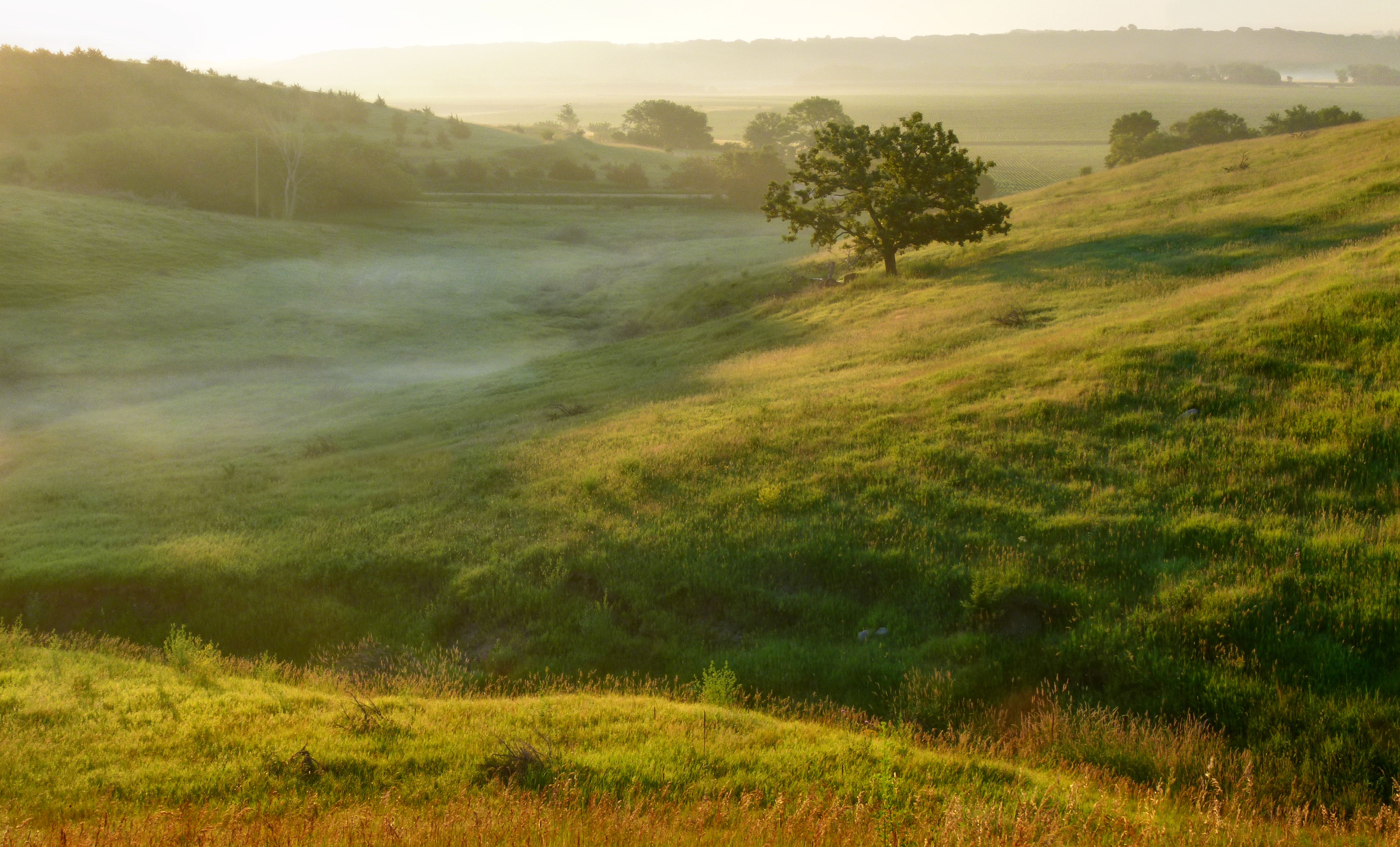 Fog rolls in over Waterman Prairie.