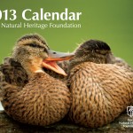 2013 INHF Calendar
