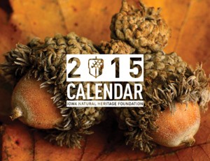 INHF_Calendar_2015 Cover SMALL