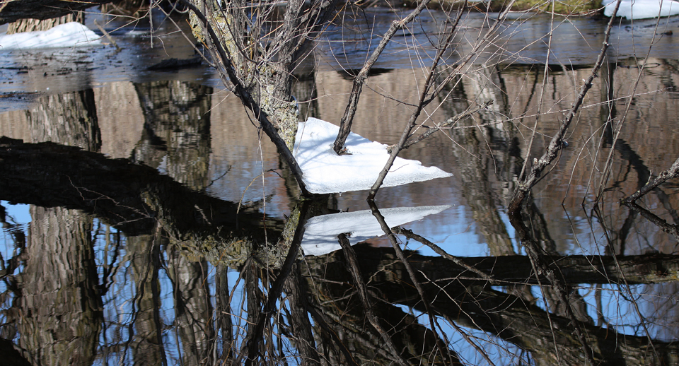 The end of winter and the beginning of spring is a gradual process of warm days and cold nights, which may be interrupted by snowstorms or unusual heat waves. The melt water that fills prairie potholes may freeze hard enough to support a person one day, but drop a foot a few days later leaving shelves or sheets of ice high and dry. The surface of a small pond such as this one can produce dramatic reflections of the trees, sky and the suspended ice shards.