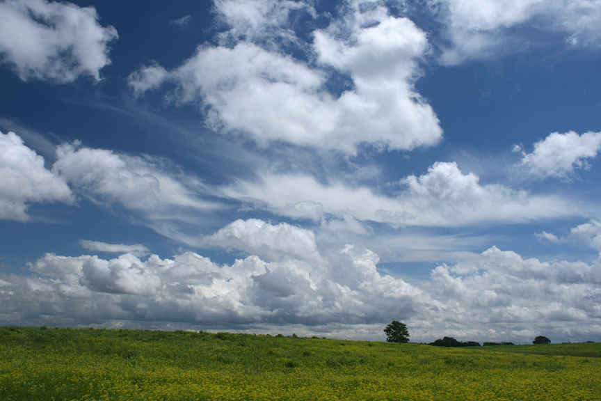 Clouds of all types can transform the appearance of a familiar place. On occasion there may be a mixture of types that are at different altitudes and headed in different directions. In this photo you see puffy cumulus clouds traveling from right to left (south to north). In the center of the photo thin, wispy cirrus clouds were going 90 degrees from the cumulus or eastward. Cirrus clouds are composed of ice crystals, and cumulus are formed with water vapor. Cumulus clouds can grow to form towering thunderheads and bring rain showers. Photo by Carl Kurtz