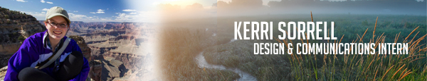 Kerri_Author_Banner