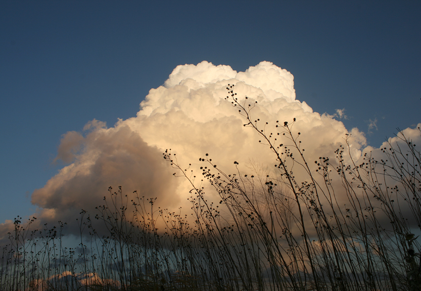 November25EveningThunderhead