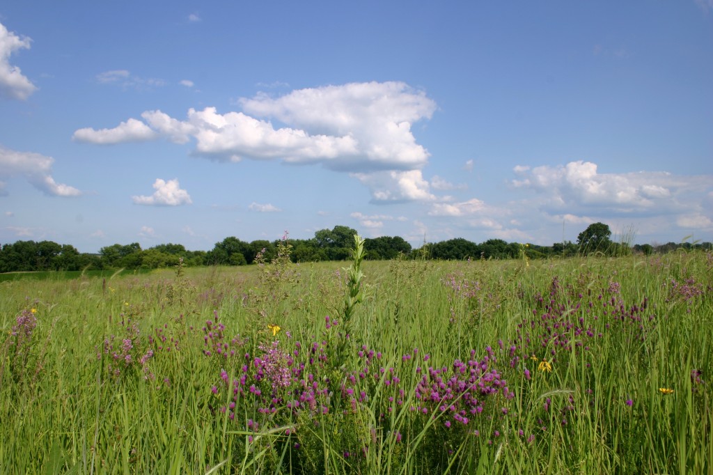 Prairie Awakening Celebration