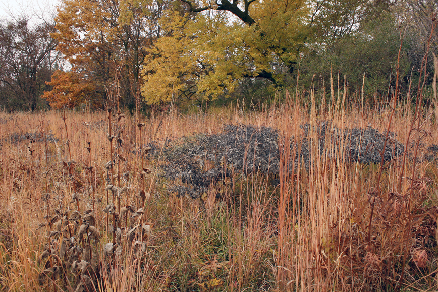 Where Prairie Meets Forest All Rights Reserved Carl Kurtz