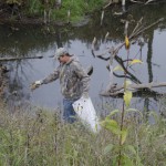 Prairie Seed Harvest 3