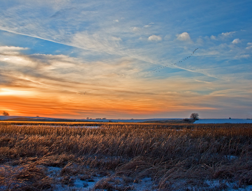 The sun sets over the Spring Run Wetland. (Photo by Daniel Ruf)