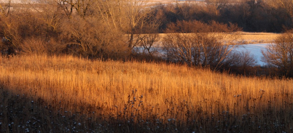 For about a half hour period after sunrise or before sunset, a dramatic play of light and shadow cover the land. Landforms we have barely noticed suddenly have great visual appeal. Deepening shadows and glowing highlights result from the soft direct light of the rising or setting sun. Snow-covered ground reflects the blue of a clear sky. It is winter's magic touch.