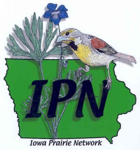 ipn_logo